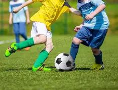 中国贸促会,举办,月常规新闻,乐竞体育官方,乐竞体育在线官网,乐竞体育线上,乐竞体育APP