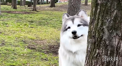 範迪克成勞,斯萊斯與世,一衛的典范,乐竞体育官方,乐竞体育在线官网,乐竞体育线上,乐竞体育APP