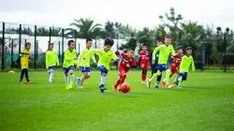 乐竞体育 产品 122134 rcs